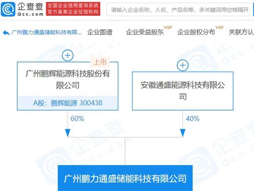 鵬輝能源參股成立儲能科技新公司，注冊資本達1億元，拓展信息系統(tǒng)集成服務